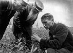 Symbolem radzieckiej pseudonauki jest Trofim Łysenko (z prawej, na kołchozowym polu w okolicach Odessy; lata 30.).  Podważał prawa genetyki i obiecał Stalinowi, że zamieni żyto w pszenicę.