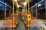 Niskopodłogowy autobus miejski SanCity napędzany sprężonym gazem ziemnym jest nowością Autosana. Firma przygotuje także wersję elektryczną.