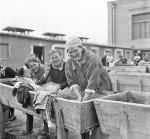 Szacuje się, że na mocy umowy Sikorski – Majski Związek Radziecki zwolnił z więzień oraz obozów 340 tys. Polaków. Z tej liczby ok. 115 tys. uciekło do Iranu.