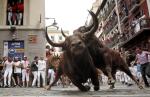 Od XIV w. w hiszpańskiej Pampelunie obchodzone jest święto ku czci św. Firmina. Jego główną atrakcją jest pędzenie stada byków przez miasto na arenę corridy. To najbardziej znane encierro na świecie. Od 1910 r. śmierć podczas niego poniosło 15 osób  
