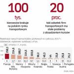 Wyniki polskiego rynku samochodów użytkowych spadły poniżej średniej dla rynku UE