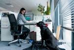 Co piąty pracownik Nestle Purina  ma psa, który przeszedł kwalifikację zoopsychologa i może pracować w biurze z właścicielem.