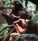 John Ssebunya wychował się pośród małp. Znaleziono go, gdy miał 5 lat. Dziecko nie mówiło, całe było w bliznach i ranach. Okazało się, że upośledzonego umysłowo chłopca porzucił w dżungli jego ojciec.