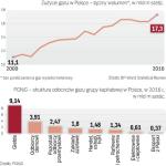 Zużycie gazu w Polsce systematycznie rośnie