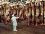 Ważne dla eksportu polskiej wołowiny jest planowane  na przyszły rok ponowne otwarcie tureckiego rynku.