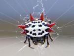 Naukowcy twierdzą, że ten pająk nie powinien istnieć 