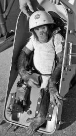 Szympans Ham spędził w kosmosie ok. 7 minut  w ramach amerykańskiego programu Merkury   