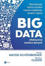 Viktor Mayer-Schonberger, Kenneth Cukier, „Big Data. Efektywna analiza danych