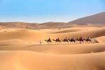 Pustynna Sahara przed tysiącami lat tętniła życiem.