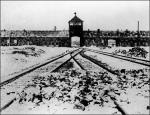  Gdy widzę kolumny cyfr dzielące ofiary Auschwitz według ich narodowości, budzi się we mnie protest. Bo Polaków zginęło tam znacznie więcej, niż się podaje. Chodzi o Polaków żydowskiego pochodzenia