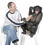 W trakcie analizy sposobów porozumiewania się szympansów naukowcy wyróżnili 66 komunikatów.