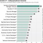 PŁACOWA ELITA PRACUJE NAJCZĘŚCIEJ W SYSTEMIE B2B