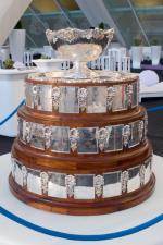 <Puchar Davisa  to drużynowe międzypaństwowe rozgrywki  w męskim tenisie. Istnieją od roku 1900  