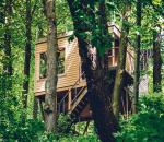 <Polacy chętnie wypoczywają w drewnianych domkach na drzewach  w Nałęczowie  