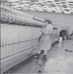 ≥Feminizacja przemysłu włókienniczego była bardzo wysoka 