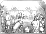 ≥W 1386 r. w normandzkim mieście Falais przed sądem stanęła trzyletnia maciora oskarżona o zamordowanie niemowlęcia. Był to jeden z licznych średniowiecznych procesów zwierząt 