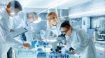 ≥Polscy producenci są już gotowi do uruchomienia produkcji leków biopodobnych 