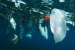 Jednorazowemu światu plastiku zawdzięczamy obraz  zanieczyszcznych oceanów, wysp śmieci i nafaszerowanych nim ryb 