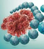 Komórki rakowe atakowane przez limfocyty
