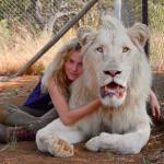 „Mia i biały lew” to opowieść o przyjaźni z lwem 11-letniej dziewczynki żyjącej na farmie w RPA.  W pewnym momencie Mia orientuje się, że jej rodzice hodują zwierzęta, by sprzedawać je do polowań. Fabularna, familijna opowieść od piątku w kinach. 