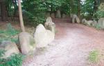 Kamienne stele wzdłuż ścieżki w Sachsenhain. Na rozkaz Himmlera ustawiono ich 4,5 tys. 