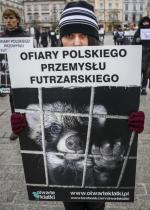 Zakazu hodowli zwierząt na futra od lat domagają się organizacje zabiegające o ich prawa 