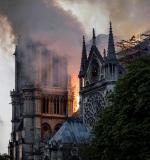 Płonąca katedra Notre Dame pokazała mizerię polskiej debaty publicznej 