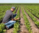 Innowacje w rolnictwie polegają nie tylko na używaniu nowoczesnych maszyn czy technologii GPS,  ale na stosowaniu odpowiednich nasion, środków ochrony roślin i nawożenia  