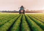 ECHA  pracuje  m.in. nad bezpiecznymi dla  konsumentów pestycydami  i nawozami, które stosuje się w rolnictwie ekologicznym  i konwencjonalnym  