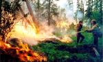 Strażacy próbują gasić tajgę w pobliżu Krasnojarska. Ogromne pożary rozprzestrzeniły się tam po 25 lipca 