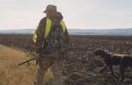 Na Słowacji wykryto już dziesięć ognisk ASF. Słowacy rozpoczynają intensywne polowania na roznoszące chorobę dziki 