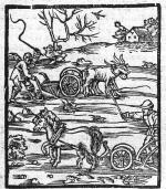„Orka”. Drzeworyt z XVI w. pochodący z dzieła Piotra Krescentyna „O pomnożeniu i rozkrzewieniu wszelakich pożytków ziemskich albo rolnych”