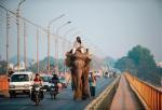 Droga w Allahabadzie, 1,2-milionowym mieście w stanie Uttar Pradesh (700 kilometrów na wschód od stolicy kraju) 