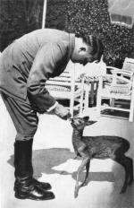 Adolf Hitler karmiący sarenkę na tarasie swojej górskiej rezydencji Berghof 