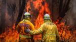 Australijscy strażacy walczą z ogniem w Nowej Południowej Walii 