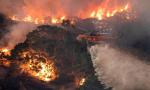 Pożary lasów już od kilku miesięcy nękają Australię.  Spłonęło więcej drzew, niż rośnie we wszystkich polskich lasach  