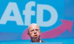 Andreas Kalbitz wyrzucony z Alternatywy dla Niemiec przez zarząd federalny za radykalizm. Jednak pozostał w klubie AfD w landtagu Brandenburgii, co umożliwili w poniedziałek tamtejsi posłowie partii, zmieniając regulamin