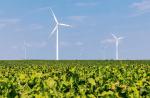 Farma wiatrowa w Dobrzyniu znalazła się wśród inwestycji Tauronu związanych z polityką Zielonego Zwrotu 