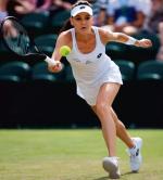 Dla Agnieszki Radwańskiej najszczęśliwszy był Wimbledon 2012, w finale w trzech setach przegrała z Sereną Williams 