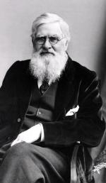 Alfred Russel Wallace (1823–1913) 