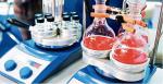 Polska powinna opracować strategię rozwoju biotechnologii