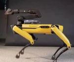 Spot to pies robot od firmy Boston Dynamics.  Kosztuje 75 tys. dol.