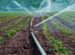 ≥Na uprawę roślin przeznacza się znaczące zasoby wody  