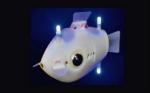 Korzystając z kamer i sensorów Blueboty automatycznie formują ławicę i pływają tak, jak robią to prawdziwe ryby 