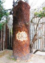 Drzewo z napisem „CRO” – przygotowanym na potrzeby filmu „Roanoke: The Lost Colony” (2007 r.)