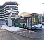 347 autobusów elektrycznych było zarejestrowanych w Polsce na koniec 2020 r. 