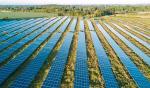 Moc farm PV w Polsce może w tym roku wzrosnąć o 830 MW 