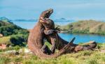 Galapagos, Madagaskar czy Sri Lanka to enklawy endemicznych gatunków. A te są niemal trzykrotnie bardziej wrażliwe na zmiany klimatyczne. Wzrost temperatur ponad poziom określony w porozumieniu paryskim będzie oznaczać ich całkowite wyginięcie 