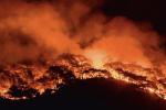 W poniedziałek nadal płonął las w okolicach tureckiego nadmorskiego kurortu Marmaris 