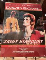 Kosmiczny Ziggy Stardust, jedno z wcieleń Davida Bowiego 